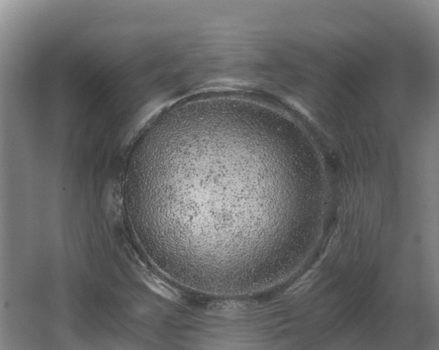 X0000068281355200604281607