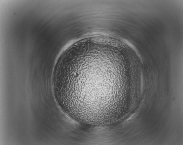 X0000068281373200604281606