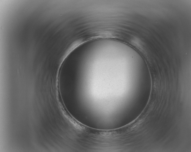 X0000068281378200604281606