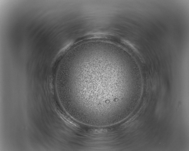 X0000068281403200604281605