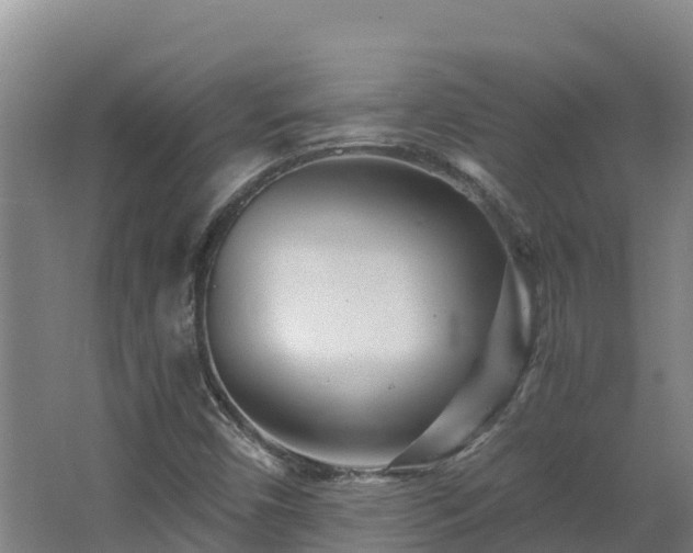 X0000068281450200604281605
