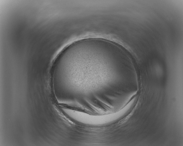 X0000068281502200604281604