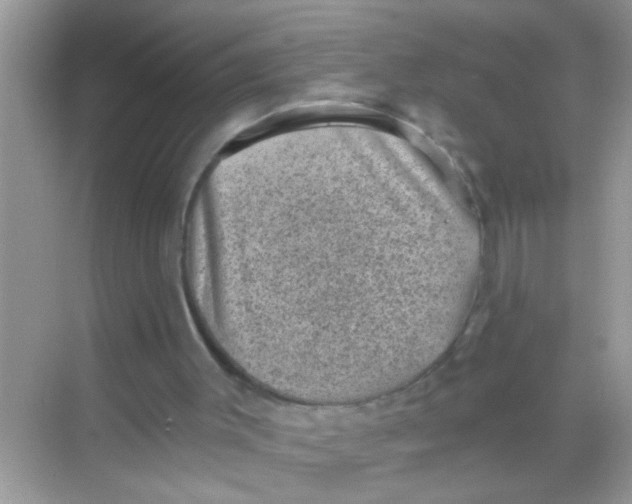 X0000068280003200605051853