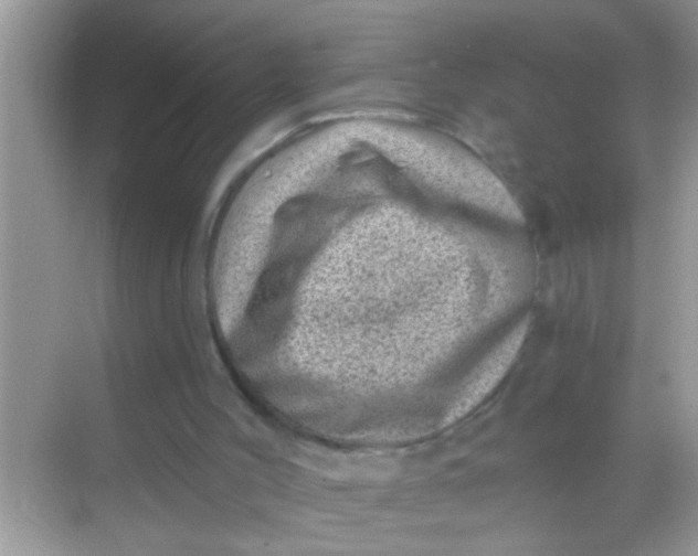 X0000068280004200605051853