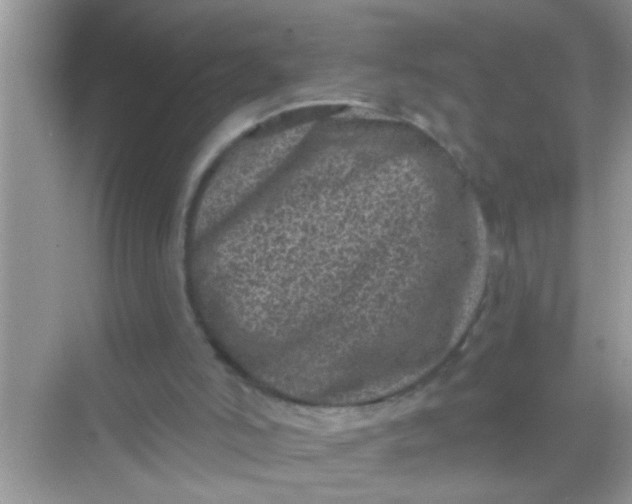 X0000068280006200605051853