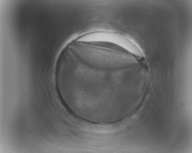 X0000068280008200605051853