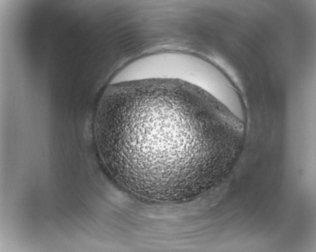 X0000068280009200605051853