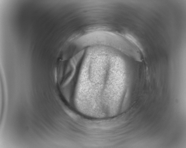 X0000068280013200605051853