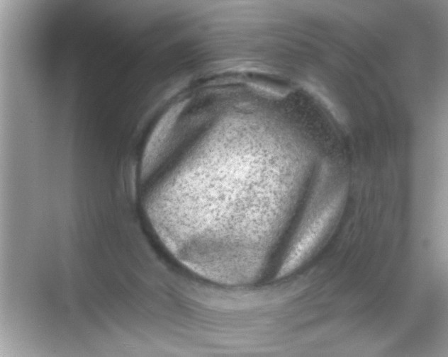 X0000068280014200605051853