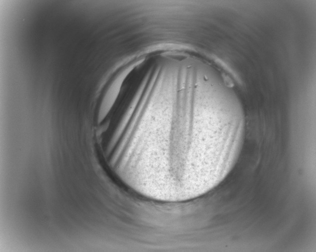 X0000068280015200605051853