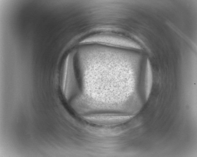 X0000068280016200605051853