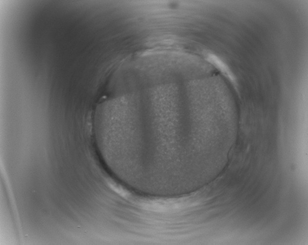 X0000068280017200605051853