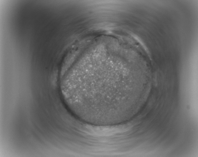 X0000068280018200605051853