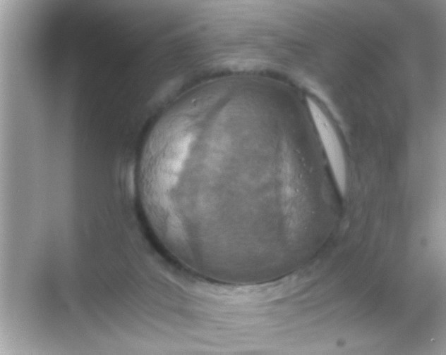 X0000068280019200605051853