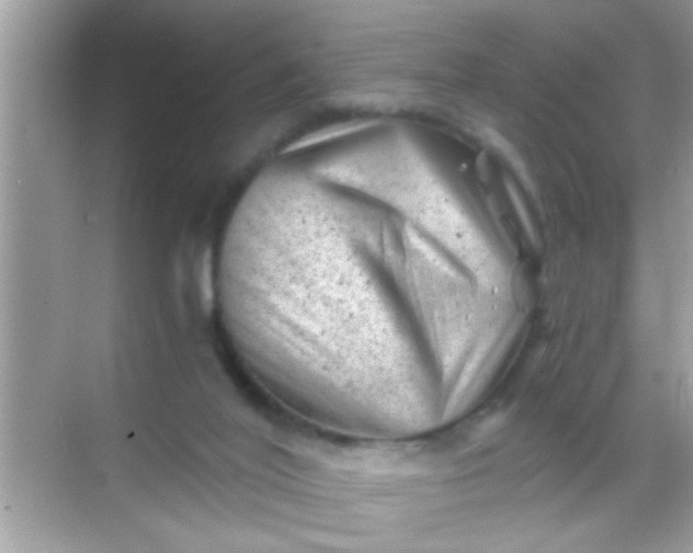 X0000068280020200605051853