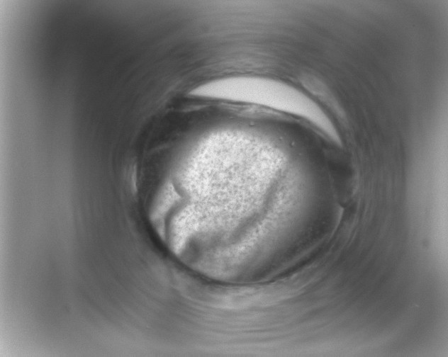 X0000068280021200605051853