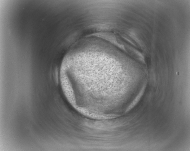 X0000068280022200605051853