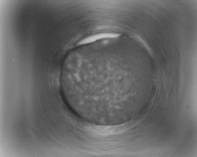 X0000068280023200605051853