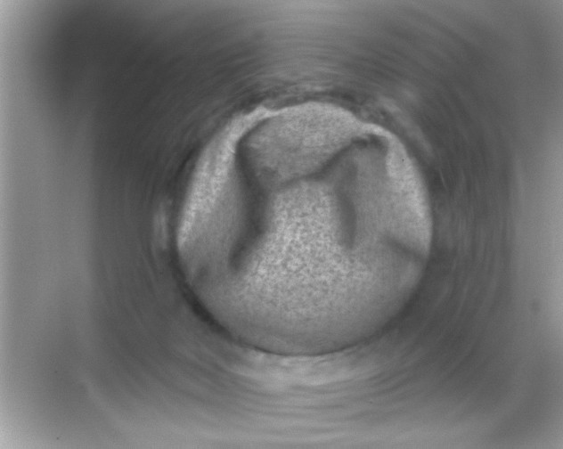 X0000068280026200605051853