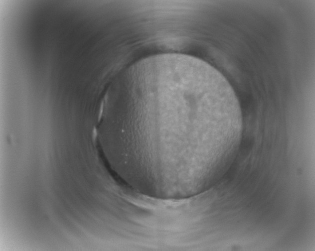 X0000068280027200605051853