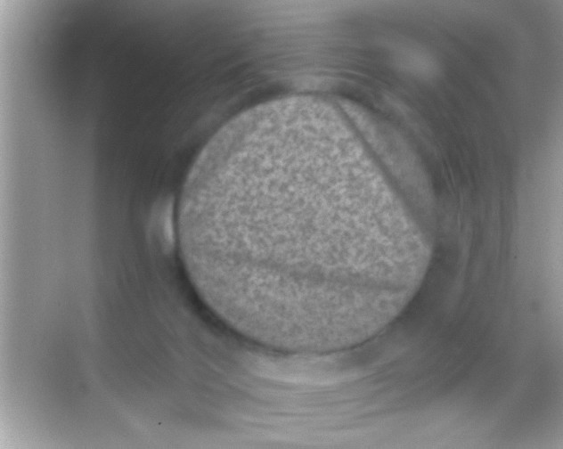 X0000068280028200605051853