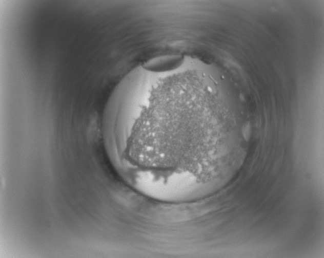 X0000068280029200605051853