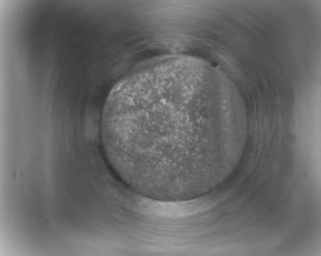 X0000068280030200605051853