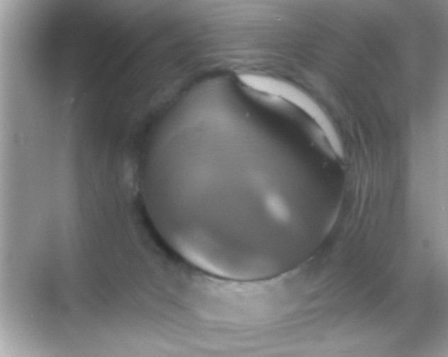 X0000068280031200605051853