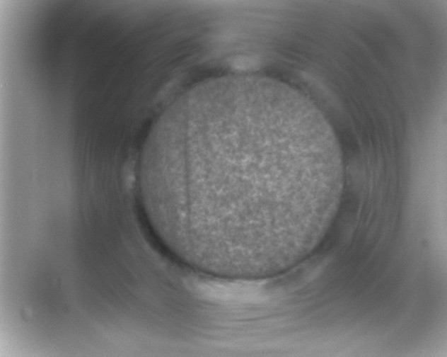 X0000068280032200605051853