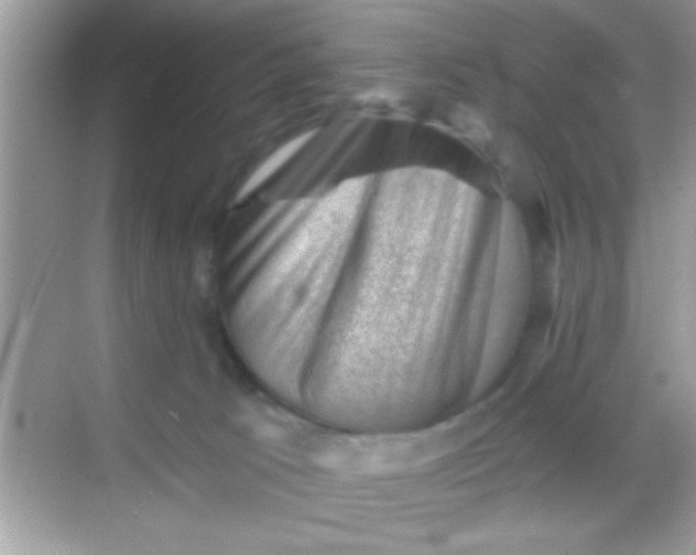 X0000068280033200605051853