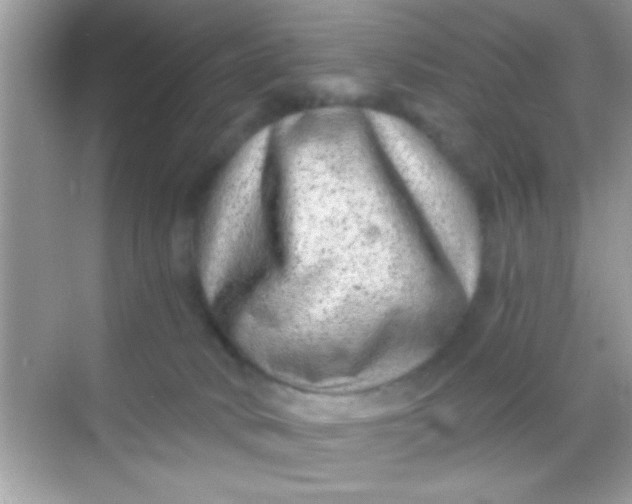 X0000068280034200605051853