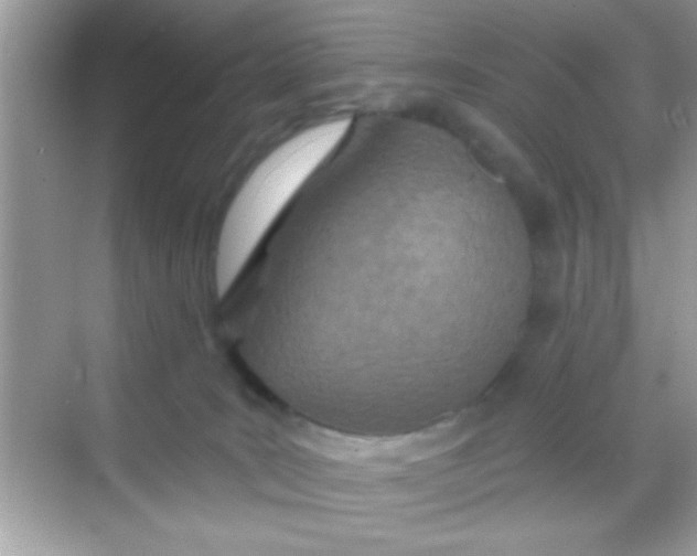 X0000068280035200605051853