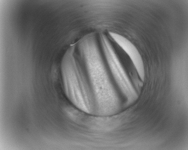 X0000068280037200605051853