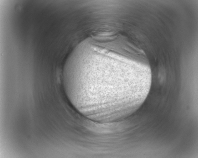 X0000068280038200605051853