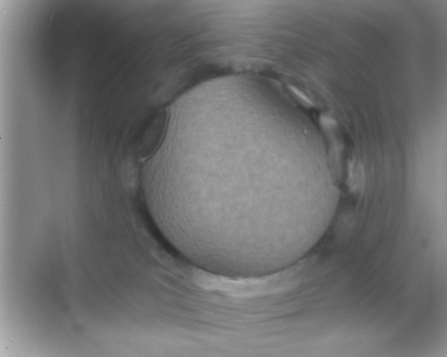 X0000068280039200605051853