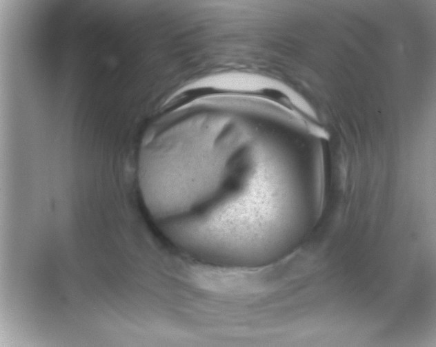 X0000068280040200605051853