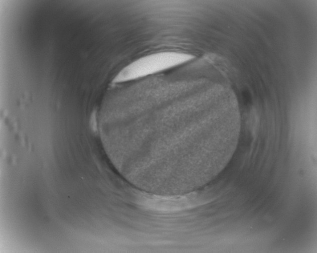 X0000068280042200605051853