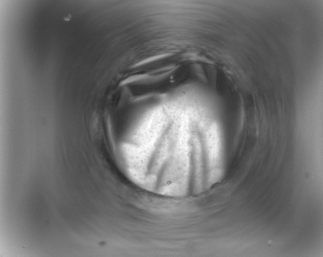 X0000068280044200605051853