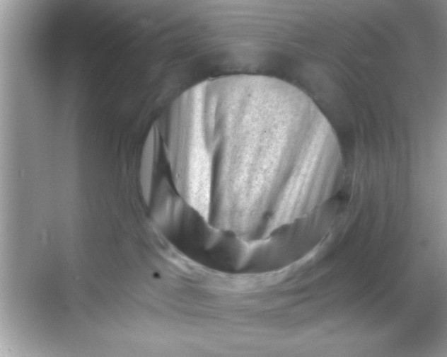 X0000068280045200605051853