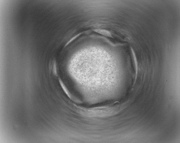 X0000068280046200605051853