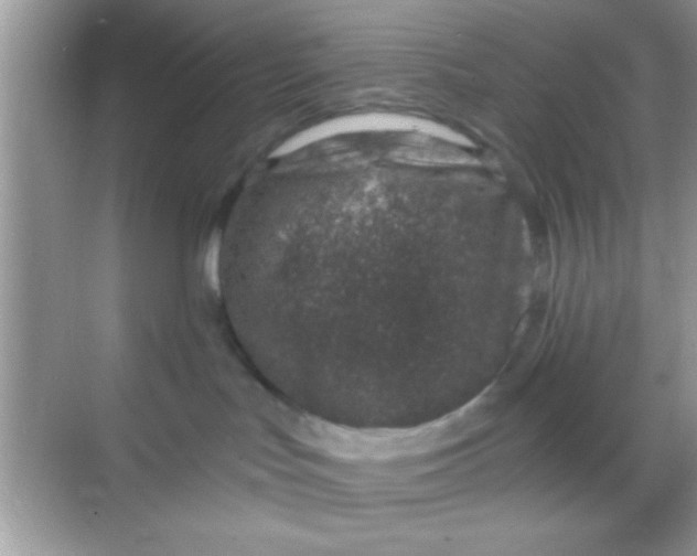 X0000068280047200605051853