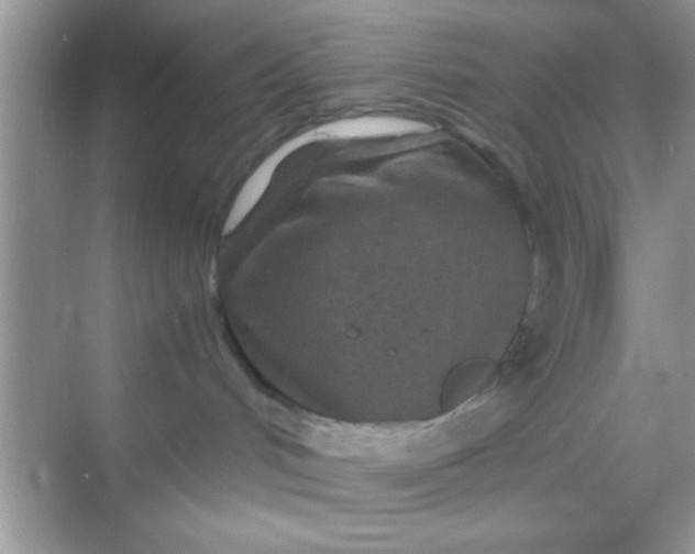 X0000068280048200605051853