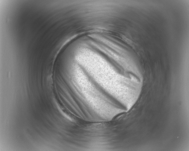 X0000068280050200605051852