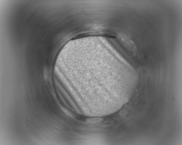 X0000068280051200605051852