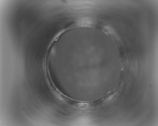 X0000068280052200605051852