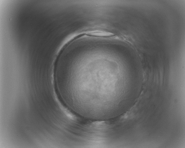 X0000068280054200605051852