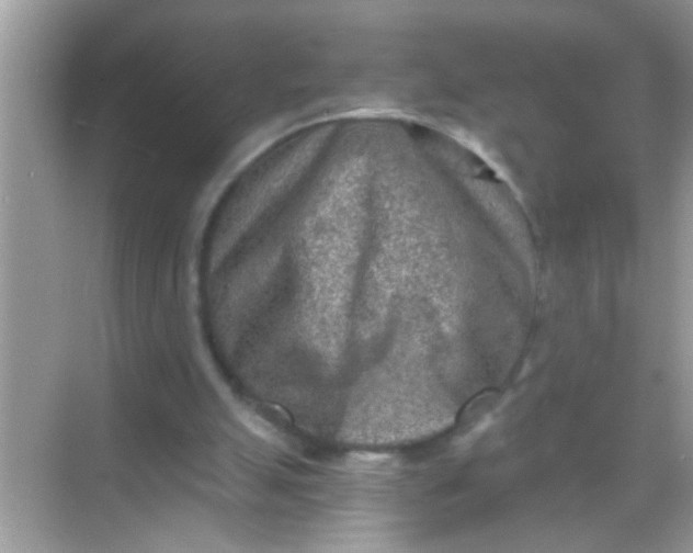 X0000068280055200605051852