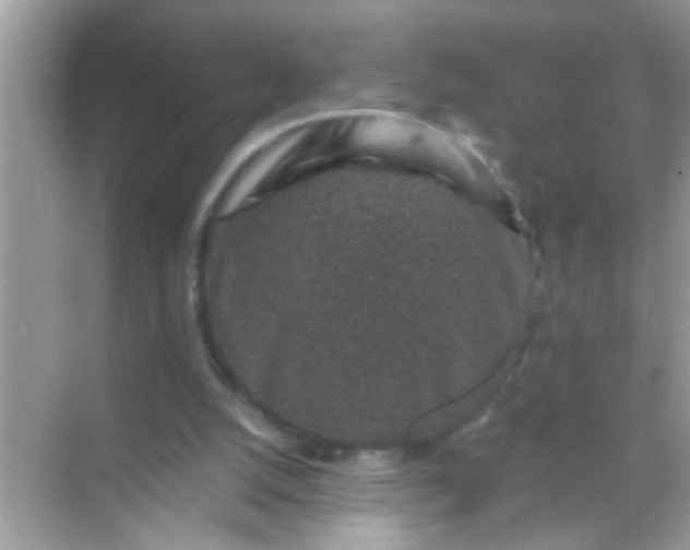 X0000068280056200605051852