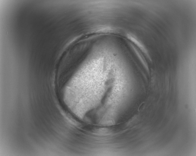 X0000068280058200605051852