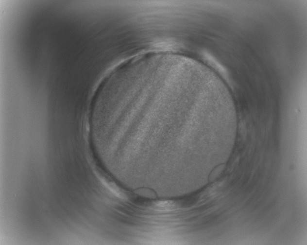 X0000068280059200605051852